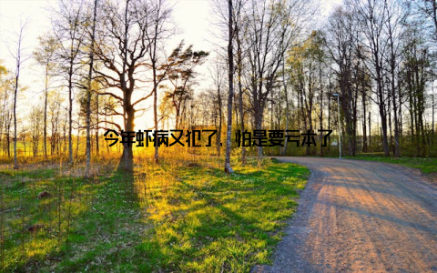 今年虾病又犯了, 怕是要亏本了