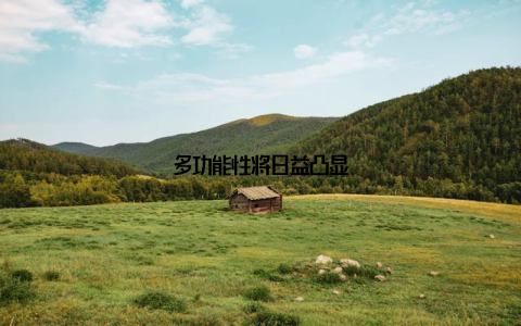 多功能性将日益凸显