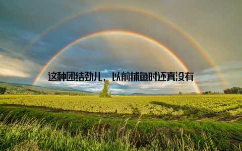 这种团结劲儿, 以前捕鱼时还真没有