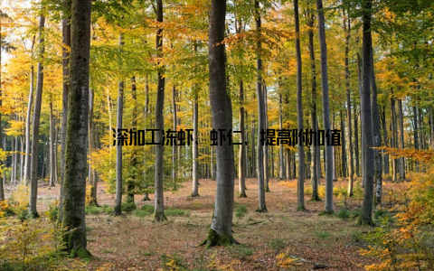 – 深加工冻虾、虾仁, 提高附加值