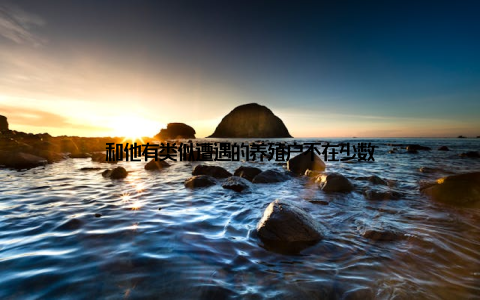 和他有类似遭遇的养殖户不在少数