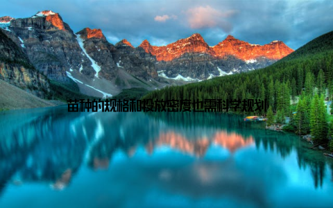 苗种的规格和投放密度也需科学规划