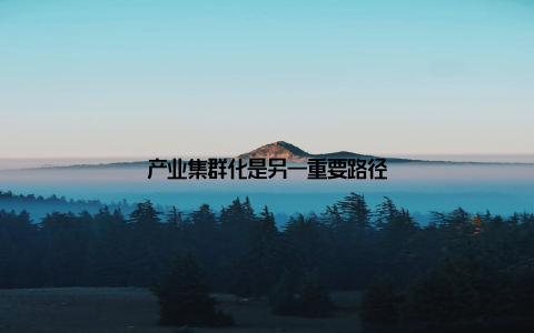 产业集群化是另一重要路径