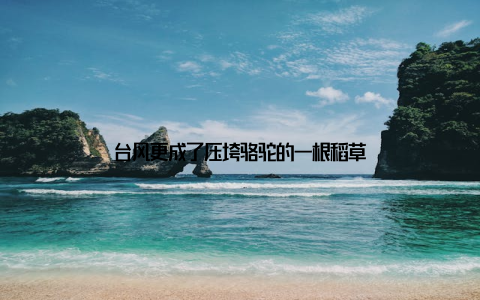 台风更成了压垮骆驼的一根稻草