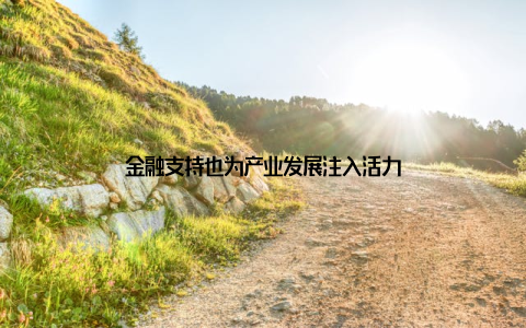金融支持也为产业发展注入活力