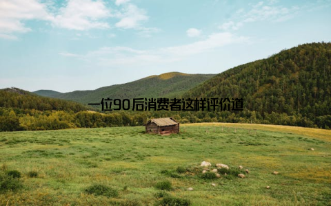 一位90后消费者这样评价道